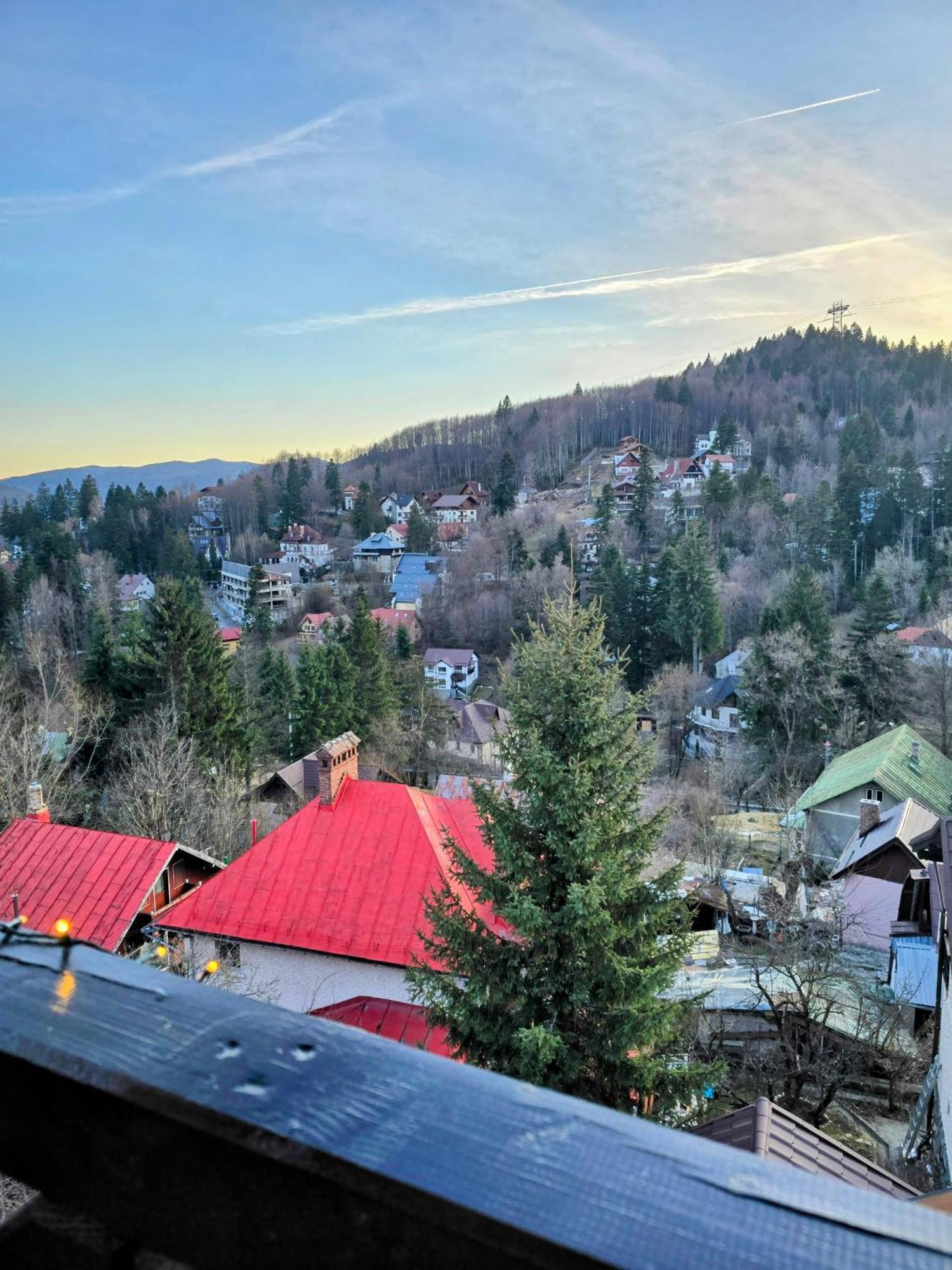 Vila Ferdinand Apartments Sinaia Exterior foto